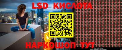 ГАЛЛЮЦИНОГЕННЫЕ ГРИБЫ Славгород