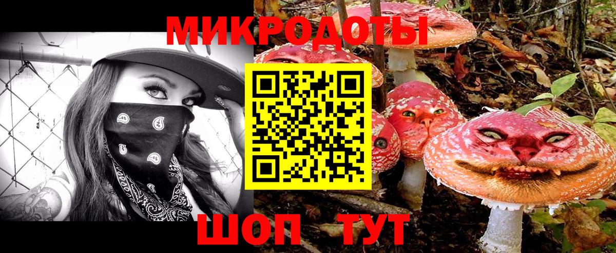 Псилоцибиновые грибы Psilocybine cubensis Серпухов