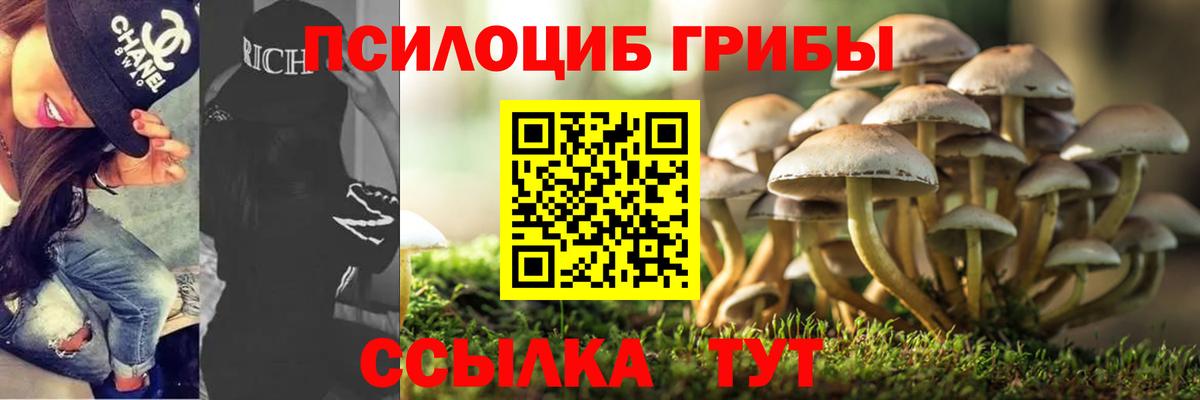 Галлюциногенные грибы GOLDEN TEACHER  Вход с VPN  Серпухов  Галлюциногенные грибы мицелий 